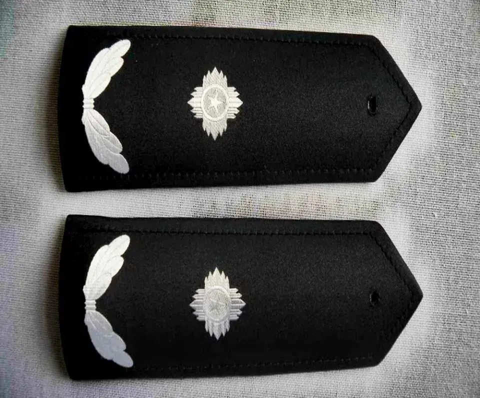 網(wǎng)友拍到三級(jí)警監(jiān)在路口指揮交通