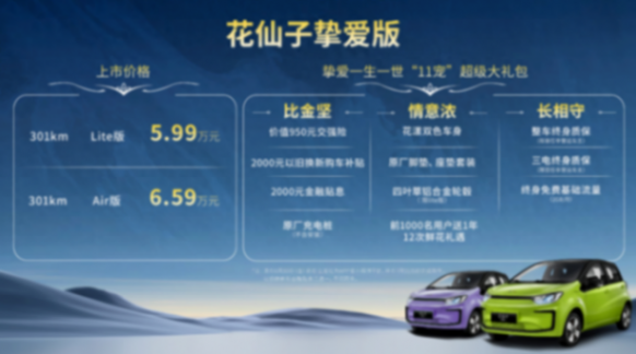 主打女性通勤選擇 江淮釔為花仙子摯愛版5.99萬元起正式上市