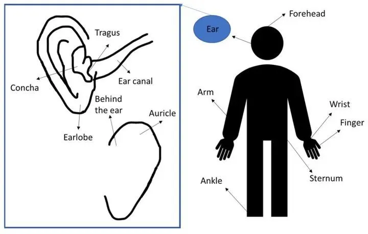 專訪AirPods團(tuán)隊:一只小小的耳機(jī),如何學(xué)會追蹤50種運(yùn)動?