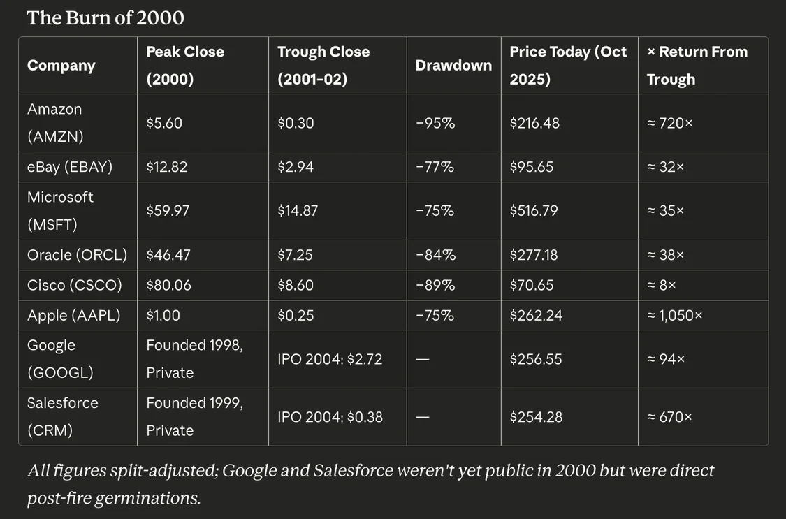 AI人工智能面臨的不是泡沫,而是野火