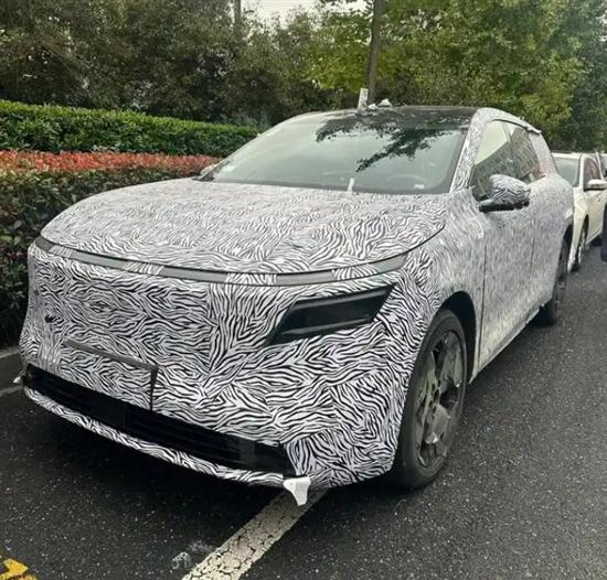 或定位中大型SUV 日產N8路試諜照曝光